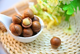 夏威夷果,堅果,蛋白質