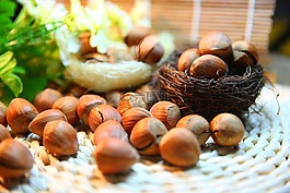 榛子,堅果,蛋白質