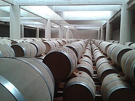 桶,葡萄酒,育種