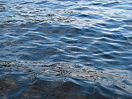 水,旱廁,水面