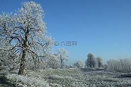 冬天,冬季景觀,性質