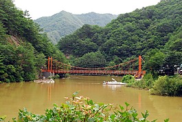 夏天,旅行,桥