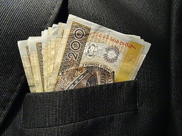 錢,安全,貨幣