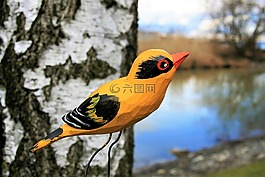 飾品,樺木,鳥