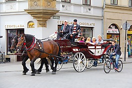 馬,騎馬,車廂