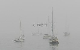 帆船,船,霧