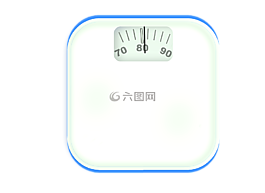 水平,體重秤,重量