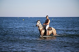 海馬,沐浴,跳線