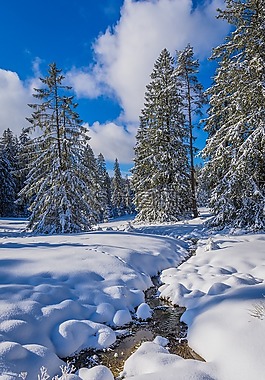 雪,冬天,冷