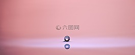 珍珠,滴,一滴水