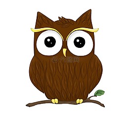 动物,猫头鹰,图形