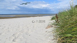 海岸,沙,假期