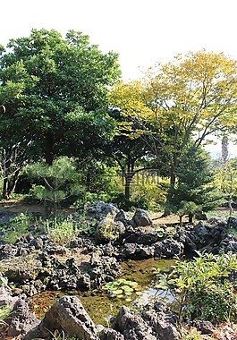 步行,花園,景觀