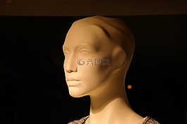 展示道具,娃娃,頭