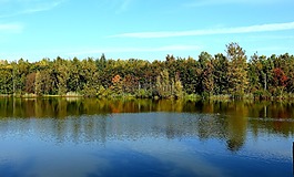 湖,森林,秋季