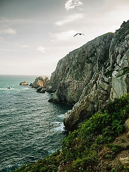 海,海洋,水