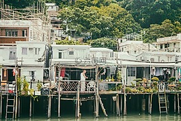 海,水,木