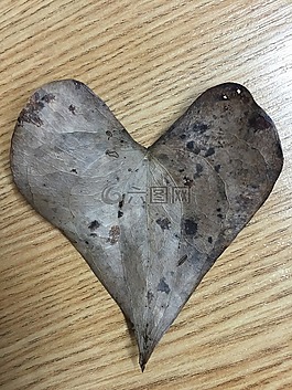 葉,照片,心臟