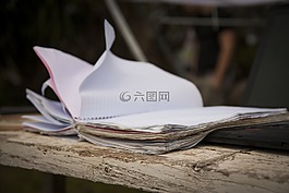 書,風,放松