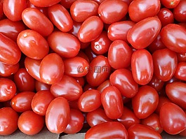 蕃茄,紅色,蔬菜