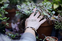 模糊,手鐲,特寫(xiě)