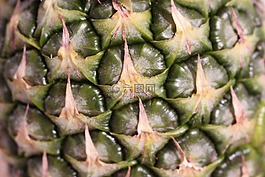 水果,菠蘿,熱帶水果