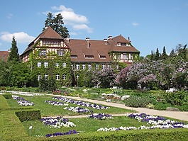 公園,植物,花園