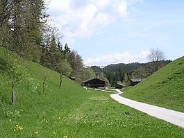 奧地利,山,農(nóng)家