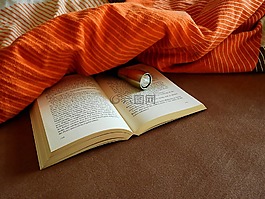 本書(shū),讀取,文學(xué)