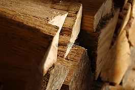木,holzstapel,性質(zhì)