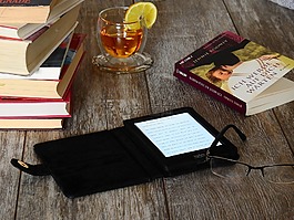 本書,讀取,文學(xué)
