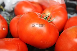 蕃茄,蔬菜,datailaufnahme