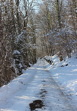 巷,雪,冬天