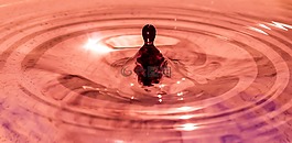 一滴水,水,滴