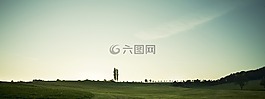 景觀,樹,性質(zhì)
