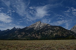 草,景觀,山