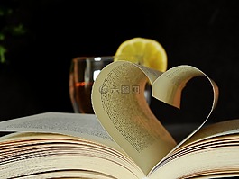 本書,讀取,文學(xué)