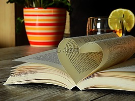 本書,讀取,文學(xué)