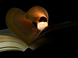 本書,讀取,文學(xué)