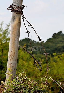 帶刺鐵絲網(wǎng),性質(zhì),帕洛阿圖