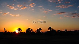 馬拉喀什,日落,棕櫚