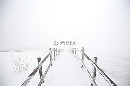 冬季,雪,大自然