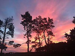樹,豐富多彩的天空,光明