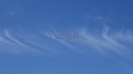 卷云,云,花丝