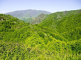 性質(zhì),景觀,山