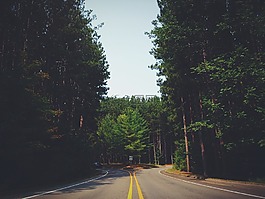 街,路,森林