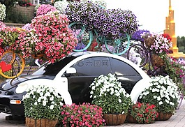 迪拜奇跡花園,花園,春
