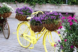 自行車,花卉的自行車,迪拜奇跡花園