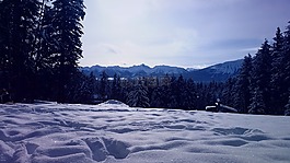 雪,冬天,自然