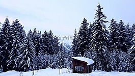 雪,冬天,冷